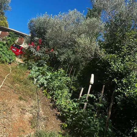 Bed & Breakfast Le Mazet De Choubouloute *